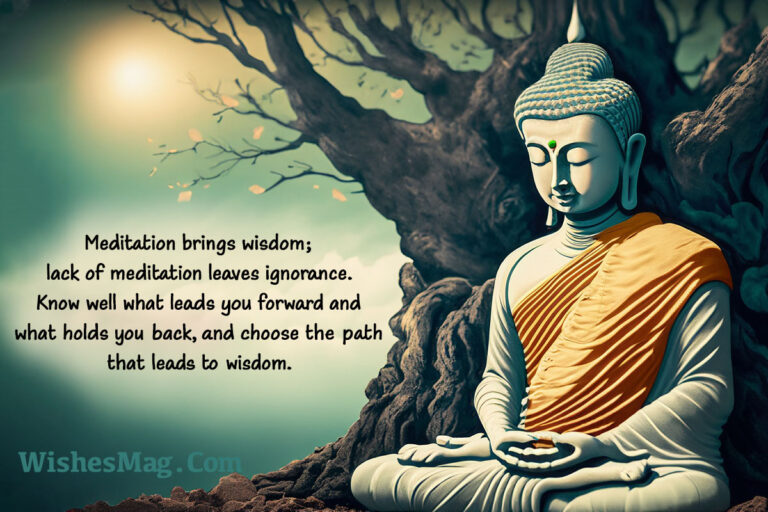 Buddha Meditation Quotes